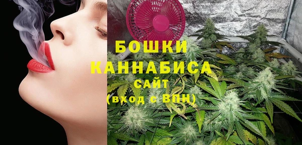 дурь Мегион
