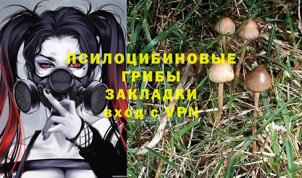 прущие грибы Алексин